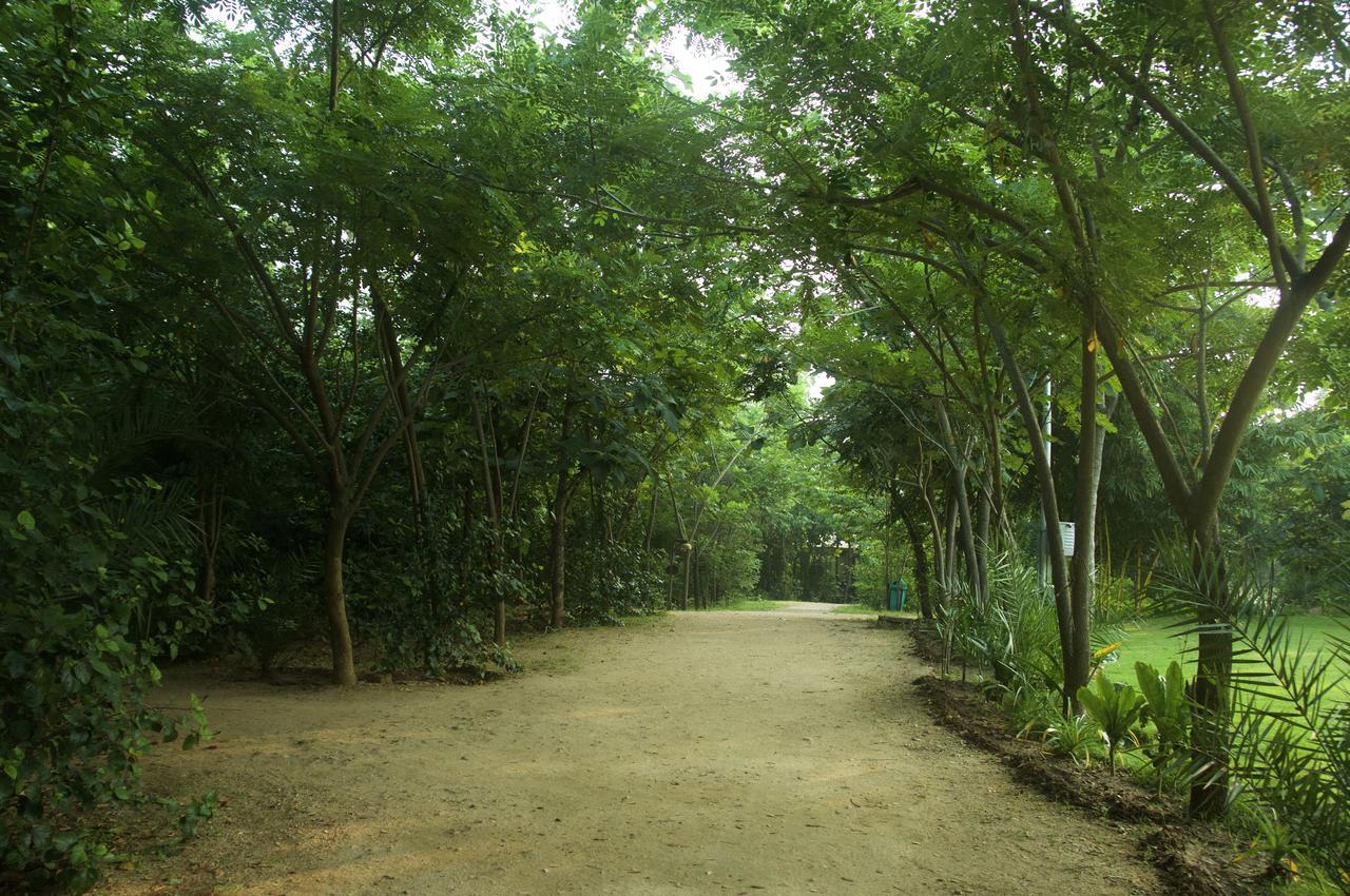 The Riverwood Forest Retreat Pench Khawasa Exterior photo