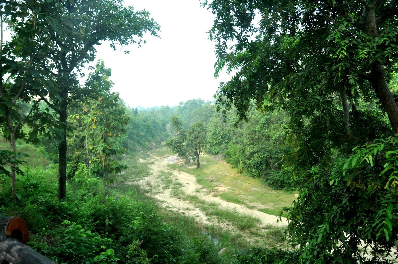 The Riverwood Forest Retreat Pench Khawasa Exterior photo