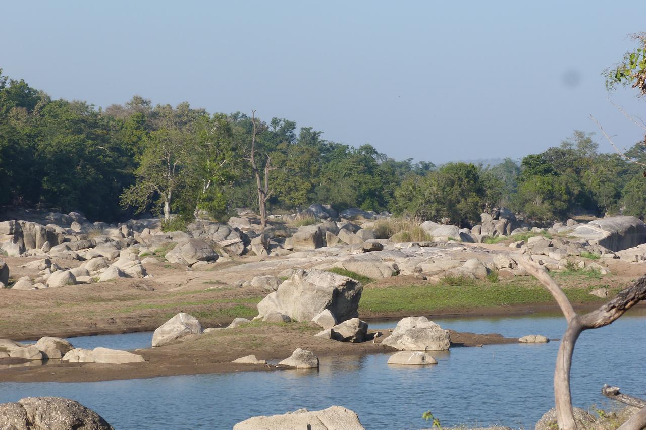 The Riverwood Forest Retreat Pench Khawasa Exterior photo